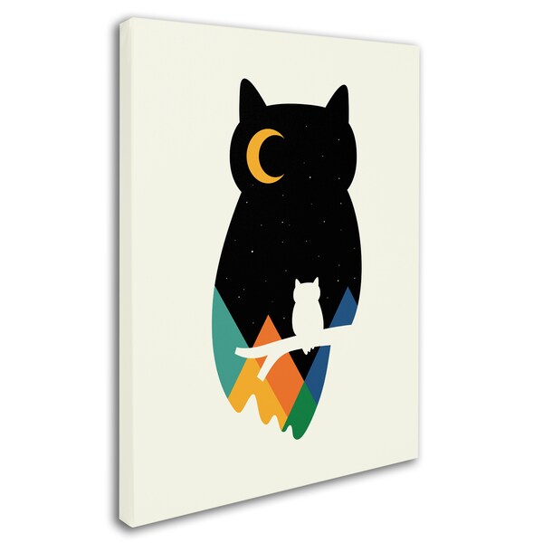Andy Westface 'Eye On Owl' Canvas Art,35x47